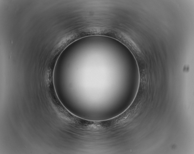 X0000096390119200801241312