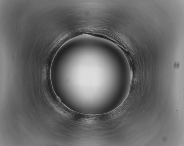 X0000096390120200801241312
