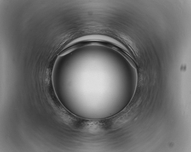 X0000096390121200801241312