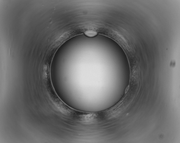X0000096390122200801241312