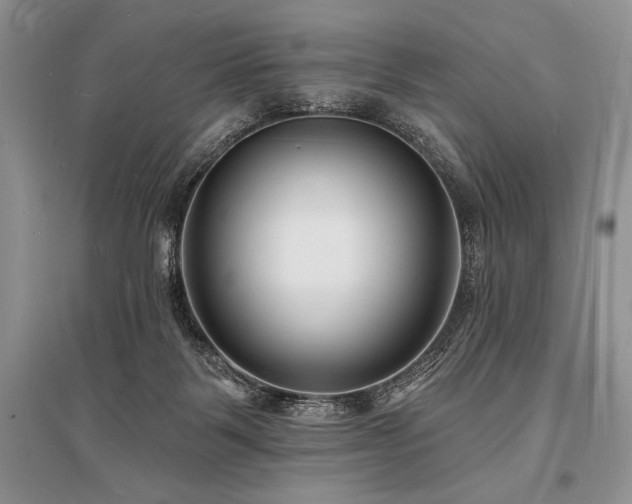 X0000096390123200801241312