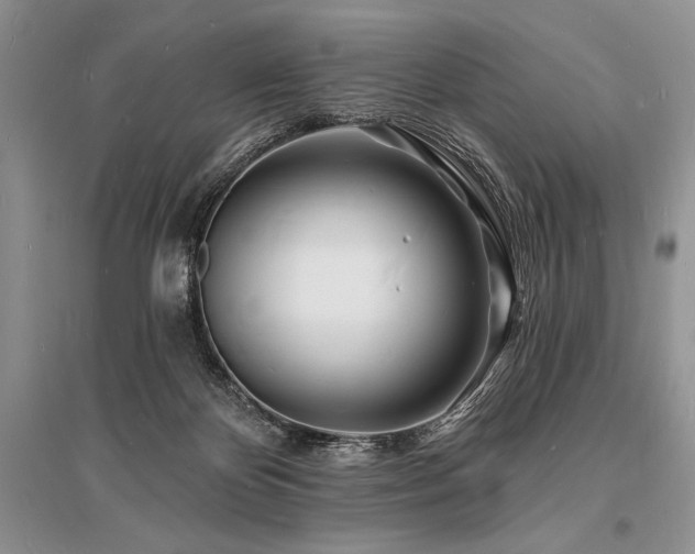 X0000096390124200801241312