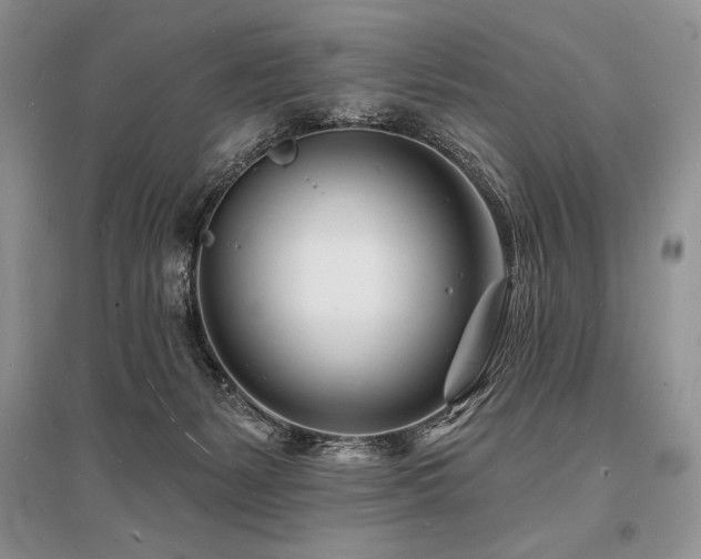 X0000096390127200801241312
