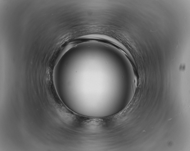 X0000096390128200801241312