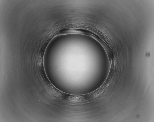 X0000096390129200801241312