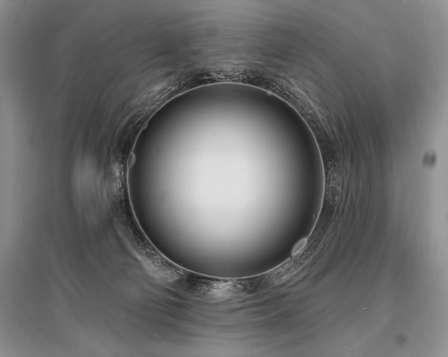 X0000096390130200801241312