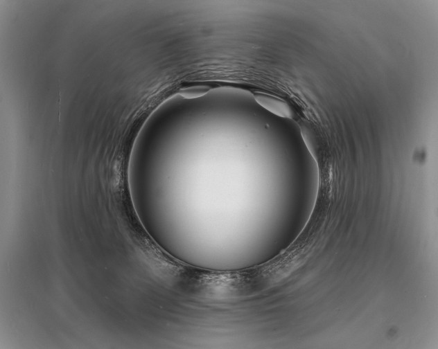 X0000096390131200801241312