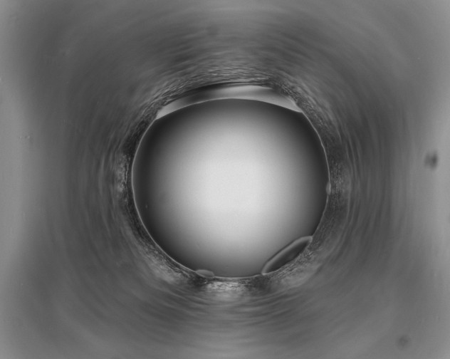 X0000096390133200801241311