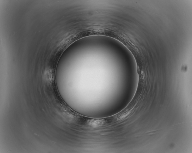 X0000096390135200801241311