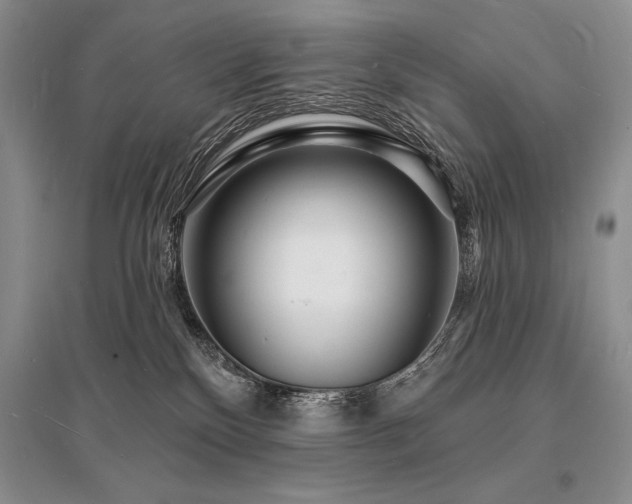 X0000096390136200801241311