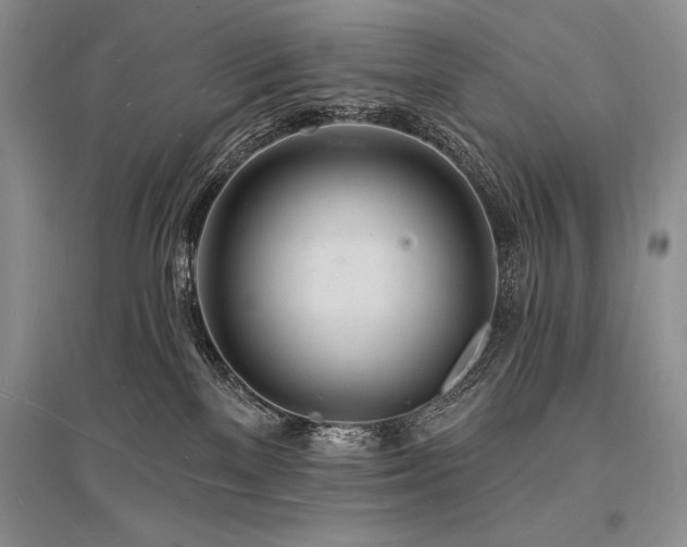 X0000096390137200801241311
