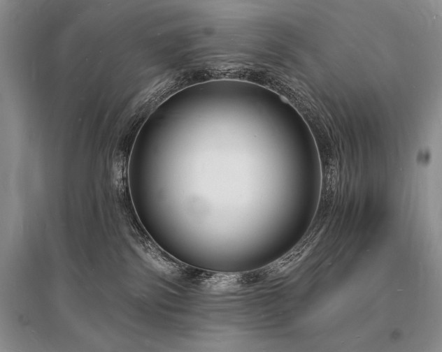 X0000096390138200801241311
