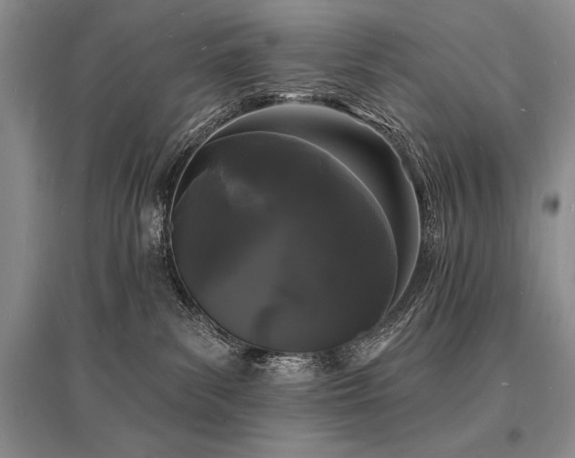 X0000096390139200801241311