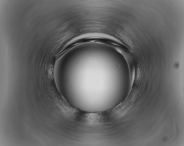 X0000096390141200801241311