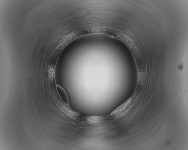 X0000096390142200801241311