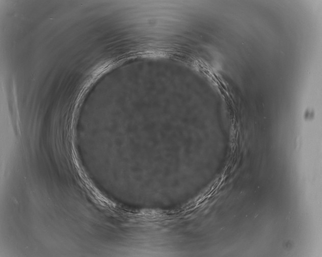 X0000096390145200801241310