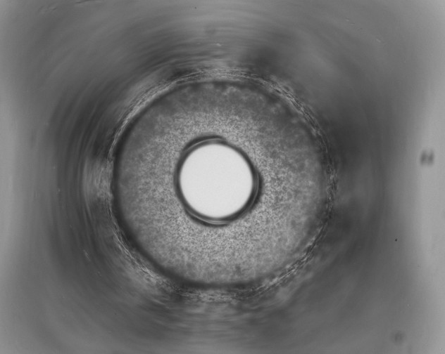 X0000096390146200801241311