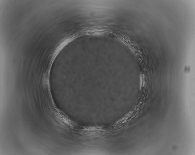 X0000096390147200801241311