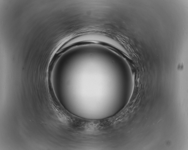 X0000096390148200801241311