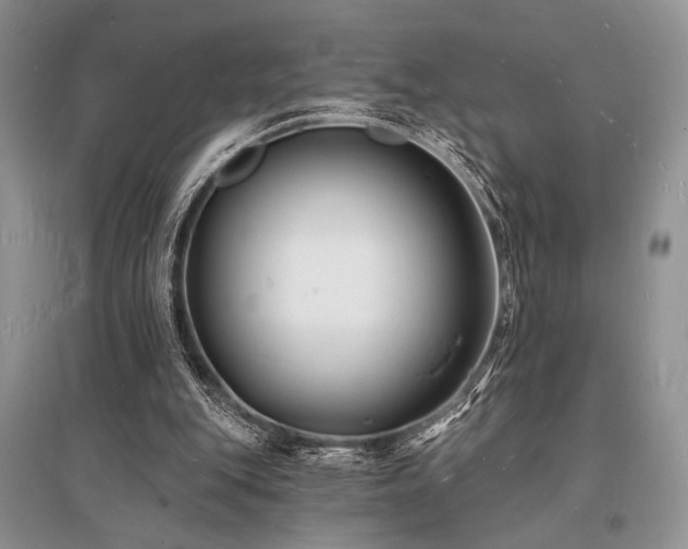 X0000096390151200801241311