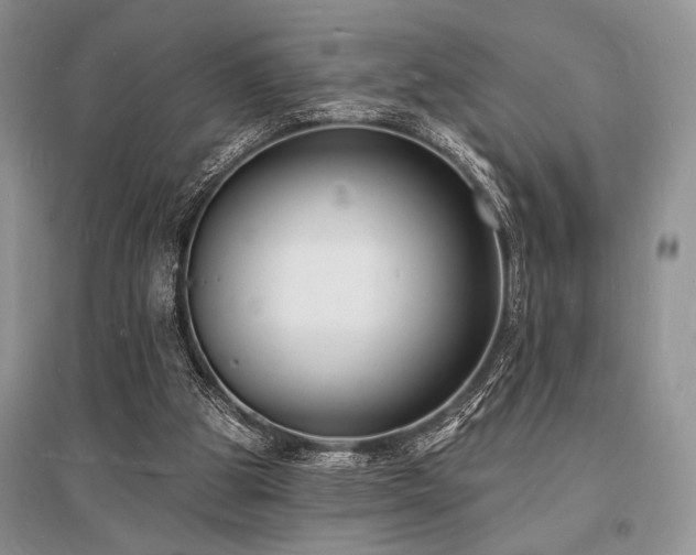 X0000096390153200801241311