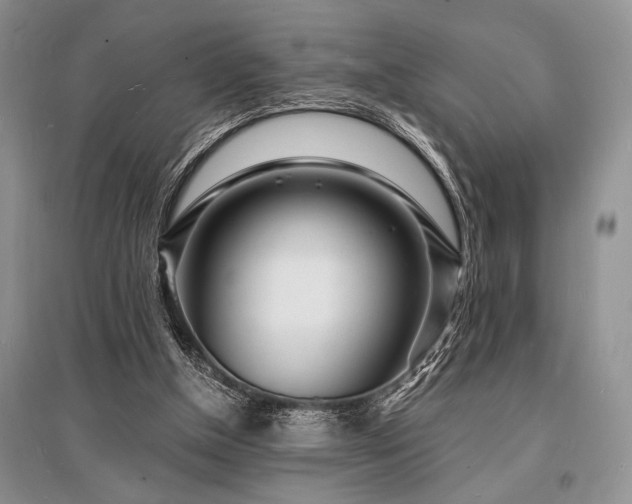 X0000096390154200801241311