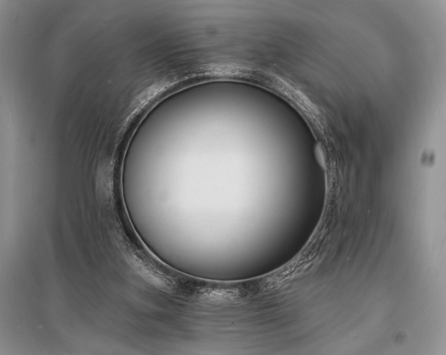 X0000096390155200801241311