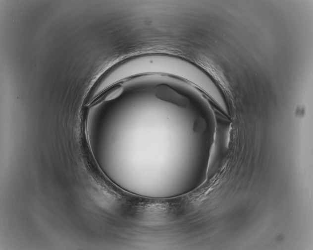 X0000096390156200801241311