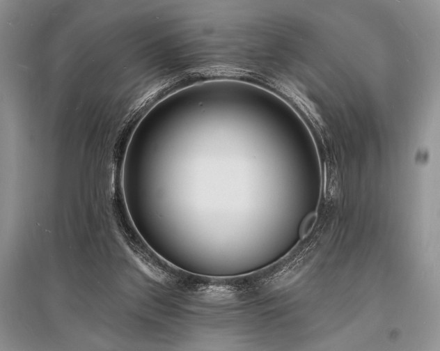 X0000096390157200801241311