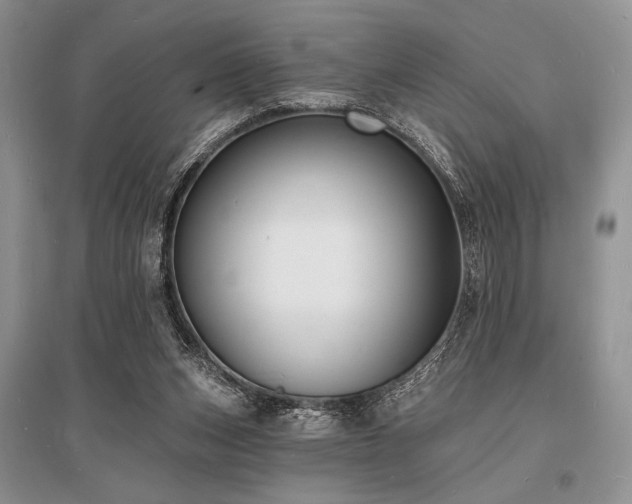X0000096390159200801241311