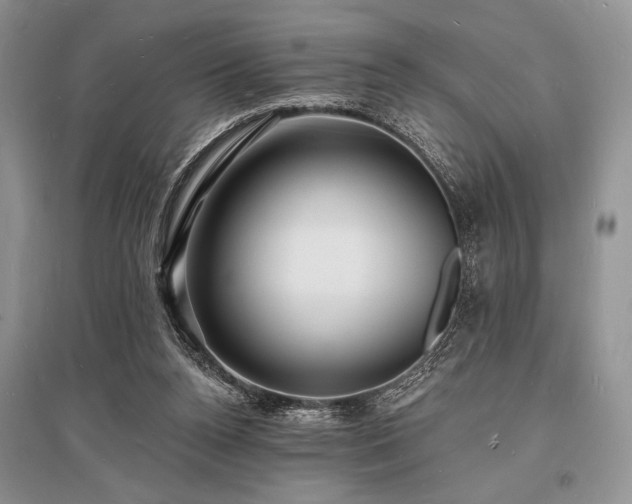 X0000096390160200801241311