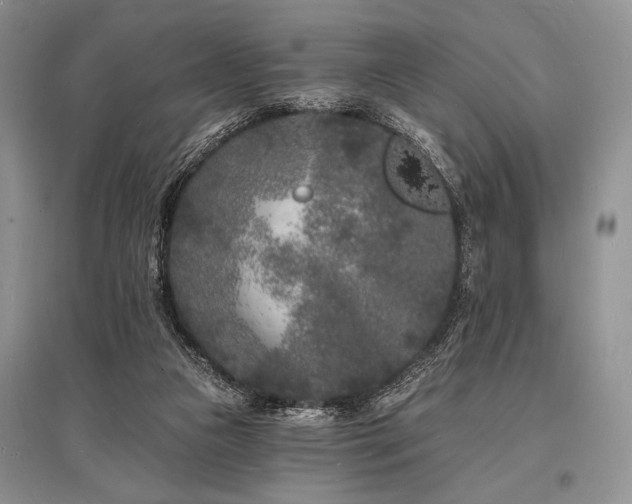 X0000096390161200801241311