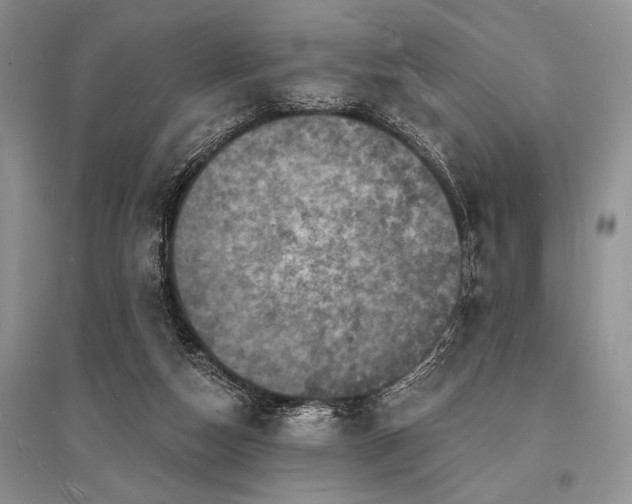 X0000096390162200801241311
