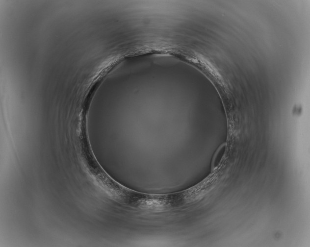 X0000096390163200801241311