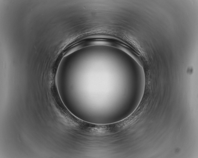 X0000096390164200801241311