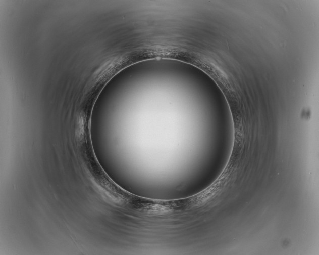 X0000096390166200801241311