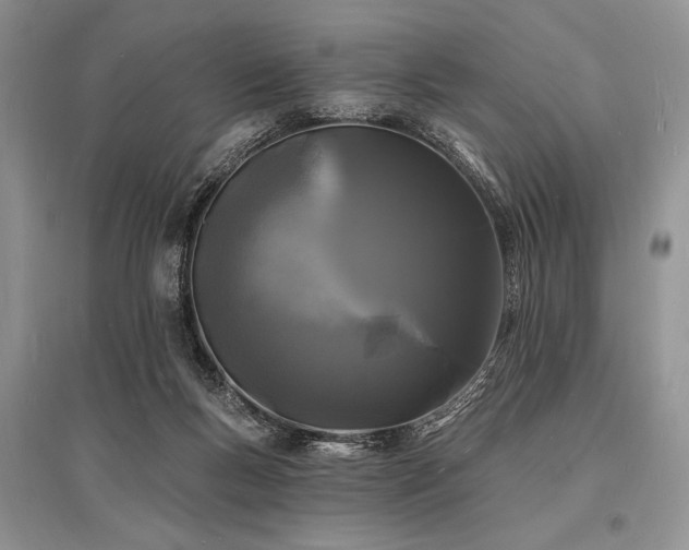 X0000096390167200801241311