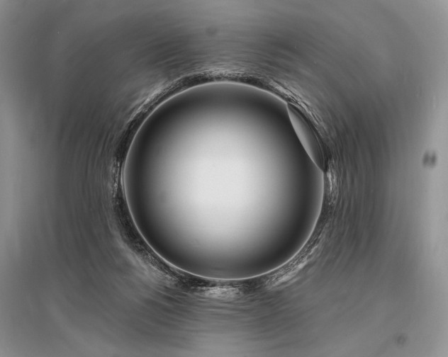X0000096390168200801241311