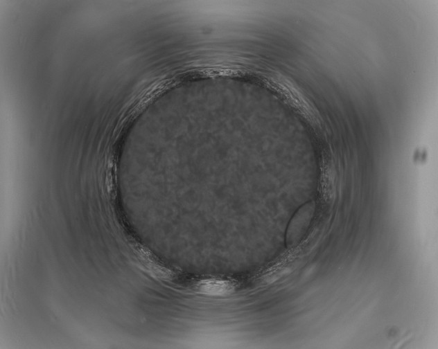 X0000096390169200801241311