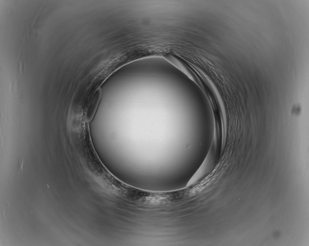X0000096390172200801241311