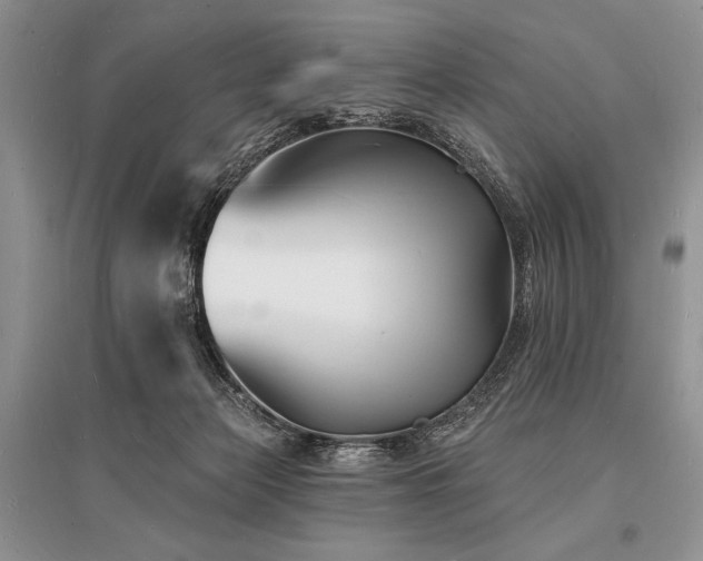X0000096390173200801241311