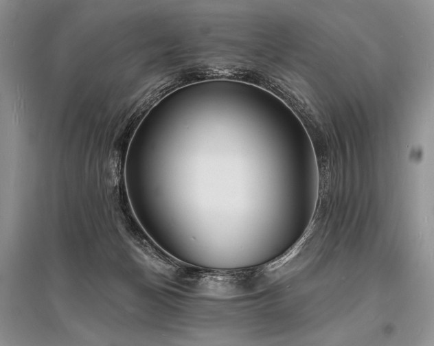 X0000096390174200801241311