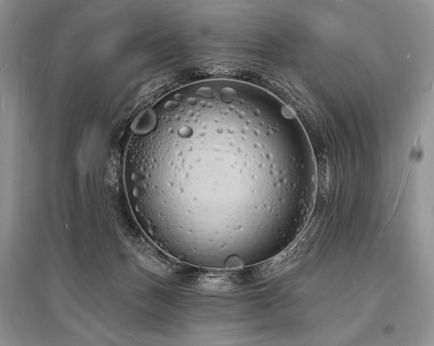 X0000096390175200801241311