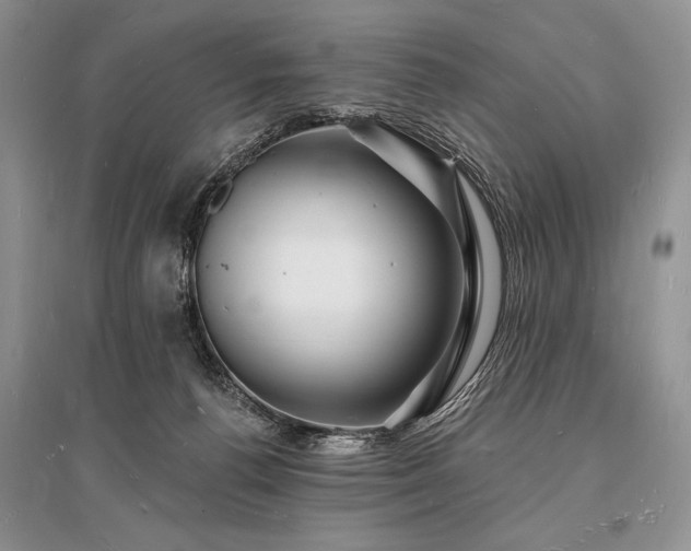 X0000096390176200801241311