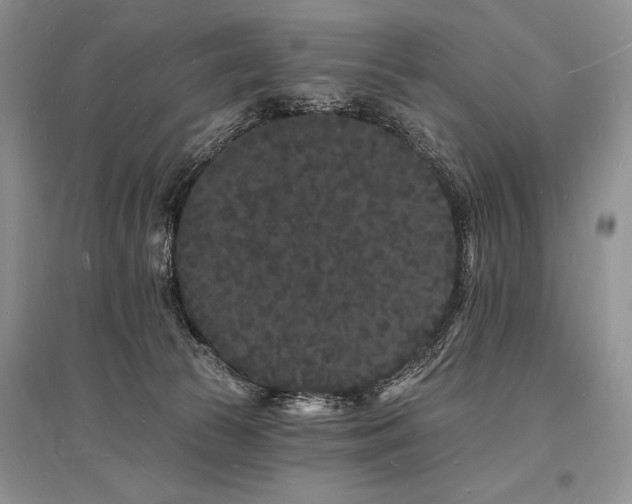 X0000096390177200801241311