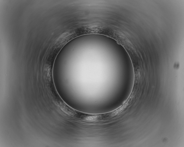 X0000096390178200801241311