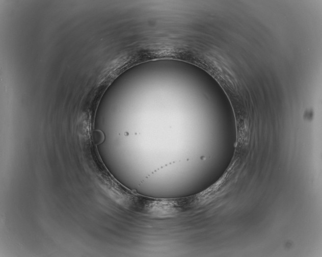 X0000096390179200801241311