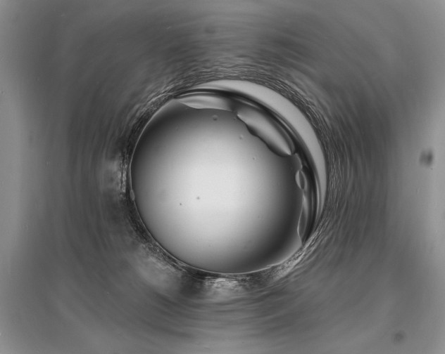 X0000096390180200801241311