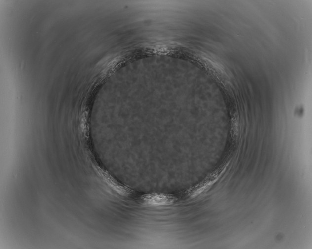 X0000096390181200801241311