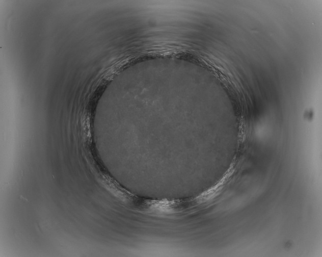 X0000096390182200801241311
